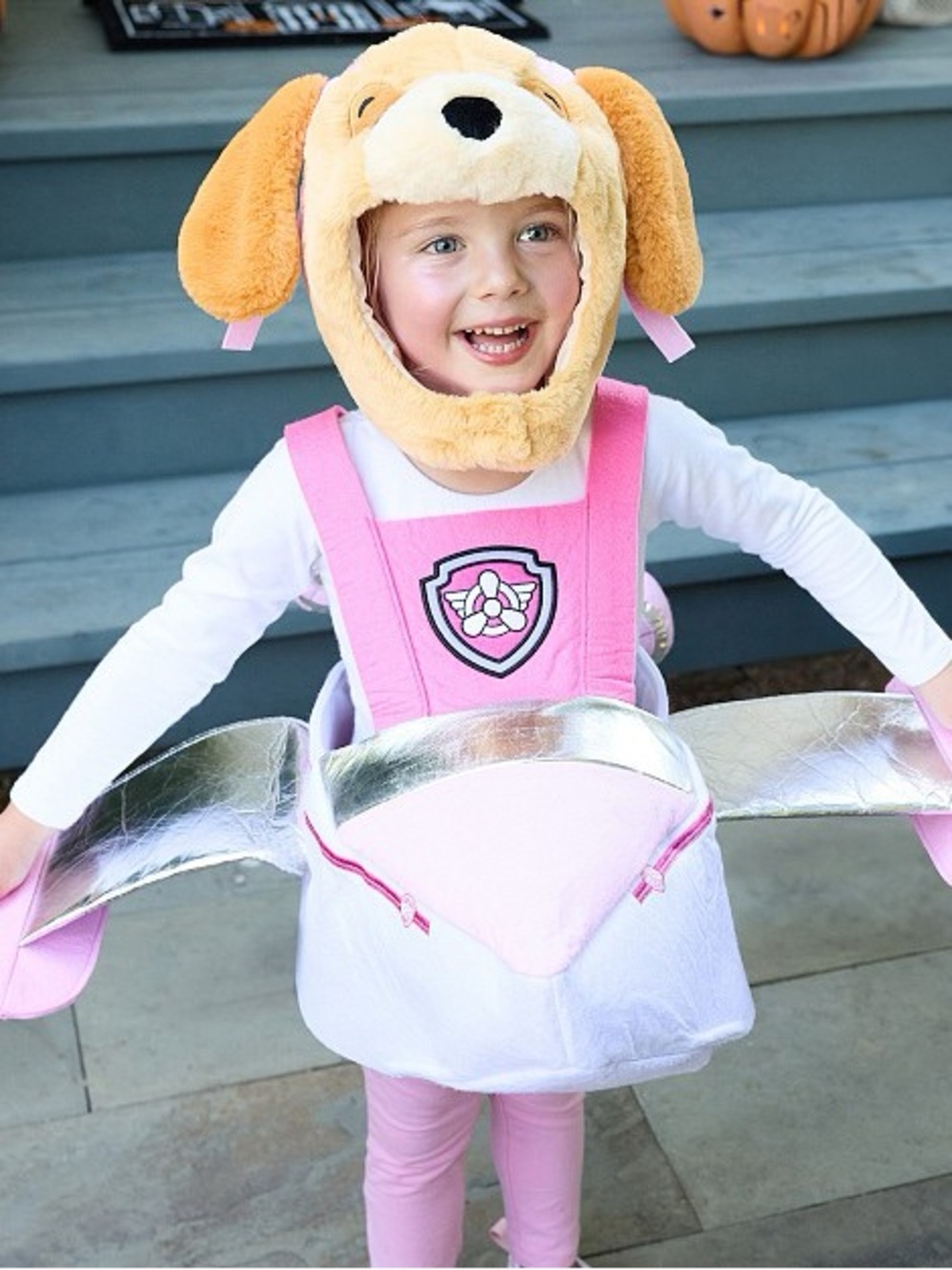 Pottery Barn Kids Paw Patrol Sky Costume